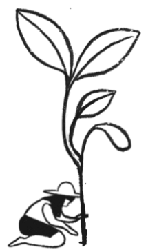 rehabilitation